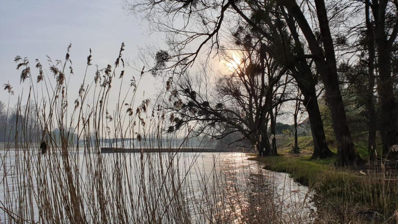 Bed and Breakfast Le Moulin Du Port Saint-Georges-sur-Cher Exterior foto